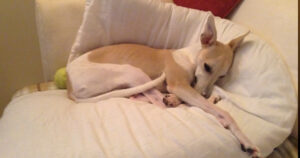 Miah Sleeping