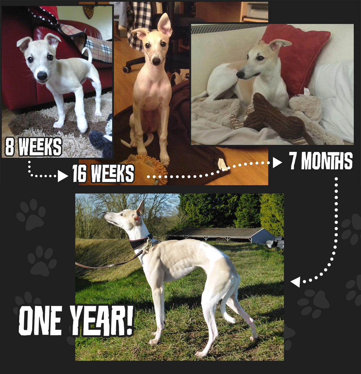 Miah through the months..
