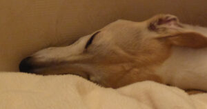 Miah Sleeping