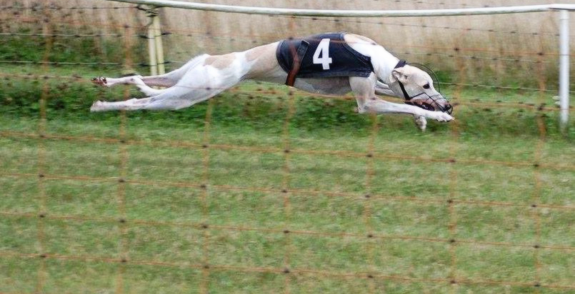 Miah in full extension running on a track