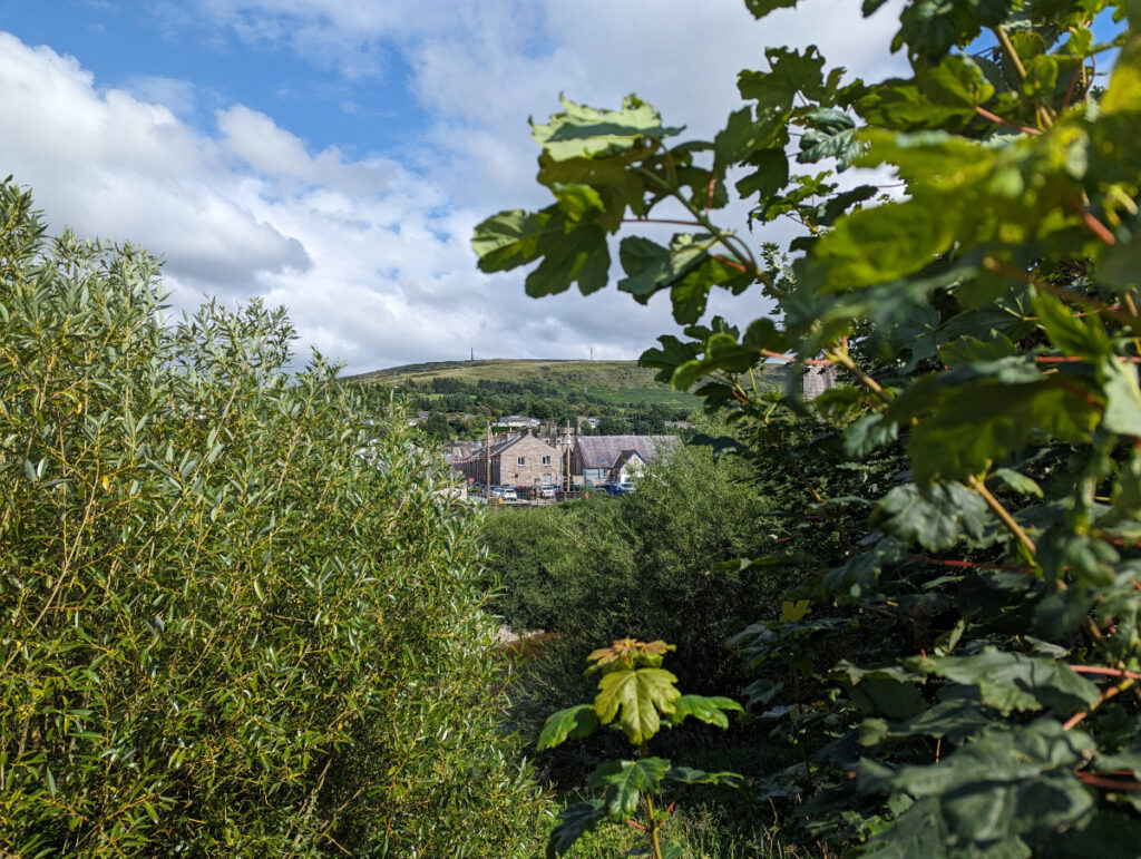 Langholm from across the River Esk