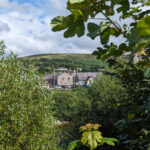 Langholm Through Trees