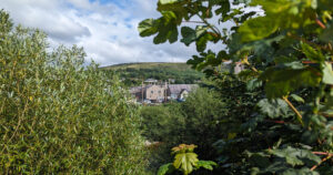 Langholm Through Trees