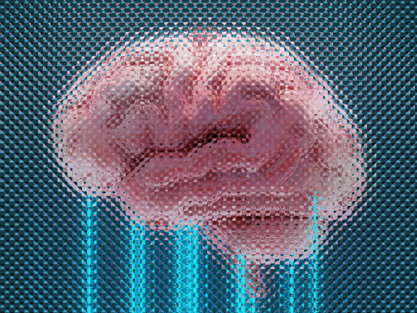 Dementia Category Snapshot